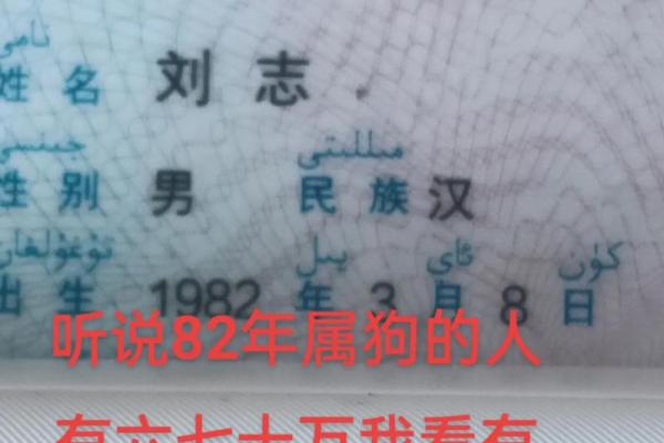 94年属狗女2025年结婚吉日(94年狗女2025年结婚好吗)