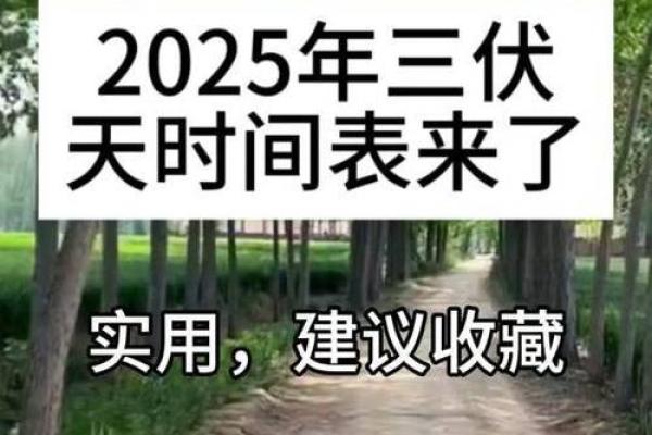 2021年入伏开始的具体时间点是上午还是下午？当天需要注意什么？