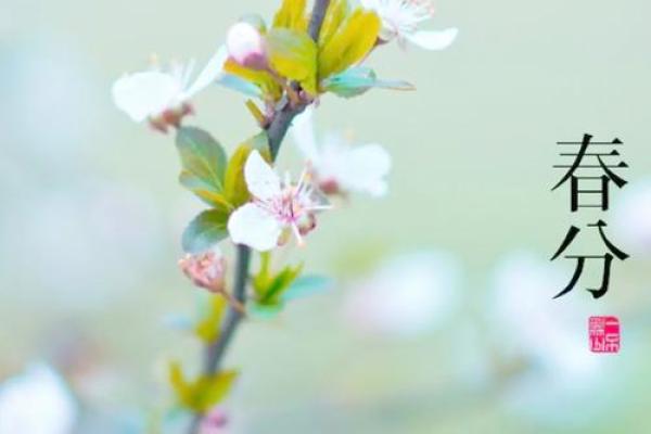 2021年立春准确时间查询，今日几点交节？