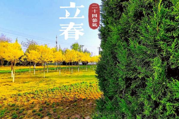 2020年立春具体是几点几分开始？想精确庆祝